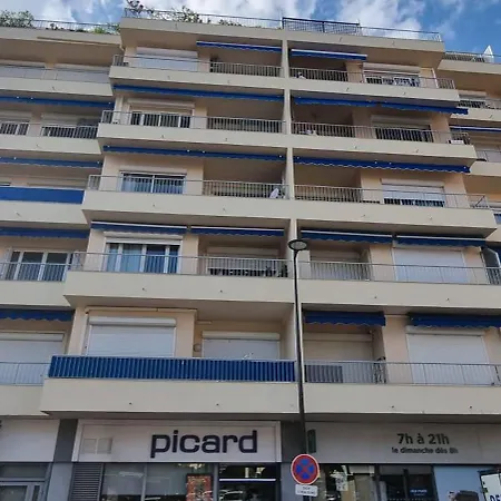 Wilson Palace - Avec Terrasse Et Climatisation * أنتيب